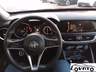 ALFA ROMEO Stelvio 2.2 Turbodiesel 180 CV AT8 Q4 Business 23