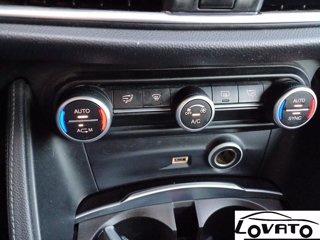 ALFA ROMEO Stelvio 2.2 Turbodiesel 180 CV AT8 Q4 Business 28