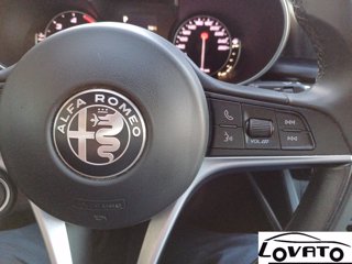 ALFA ROMEO Stelvio 2.2 Turbodiesel 180 CV AT8 Q4 Business 33