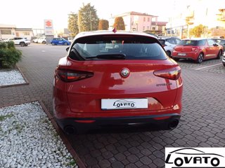 ALFA ROMEO Stelvio 2.2 Turbodiesel 180 CV AT8 Q4 Business 5