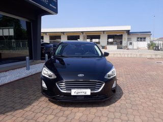 FORD Focus 1.5 EcoBlue 120 CV automatico 5p. Titanium 1