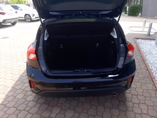 FORD Focus 1.5 EcoBlue 120 CV automatico 5p. Titanium 14