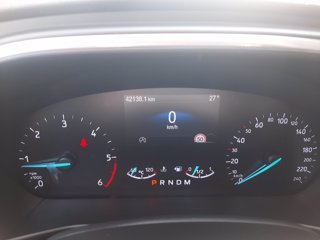 FORD Focus 1.5 EcoBlue 120 CV automatico 5p. Titanium 25