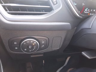 FORD Focus 1.5 EcoBlue 120 CV automatico 5p. Titanium 26