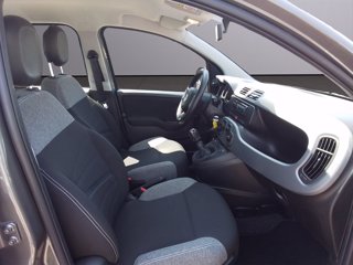 FIAT Panda 1.0 FireFly S&S Hybrid 11