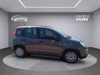 FIAT Panda 1.0 FireFly S&S Hybrid 5