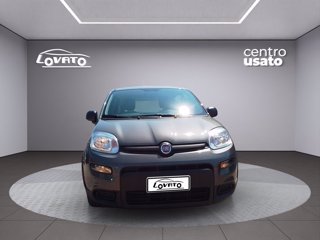 FIAT Panda 1.0 FireFly S&S Hybrid 7